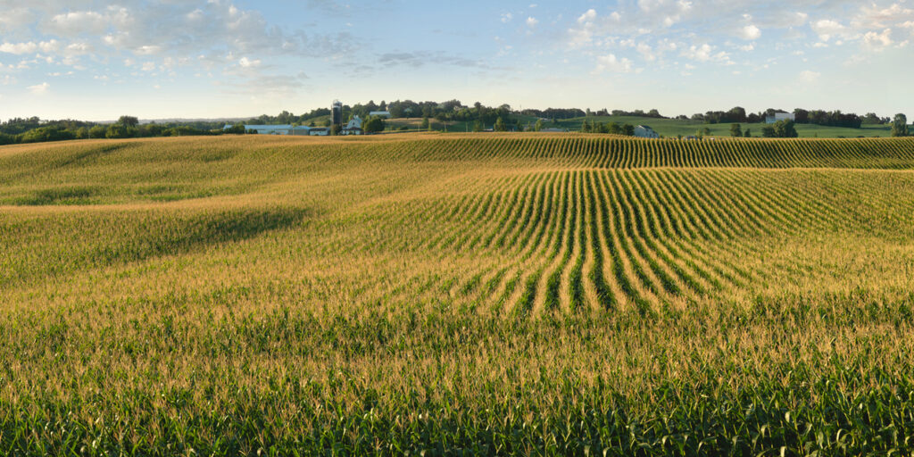 Image of field on crop insurance page